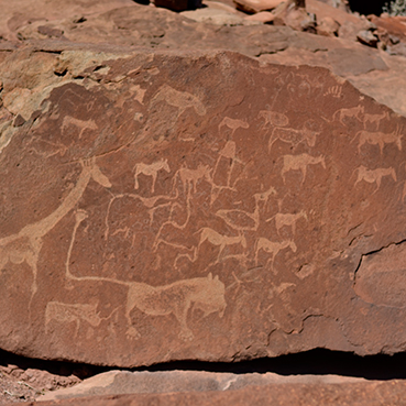 Ancient Rock Art - Cullinan Namibia