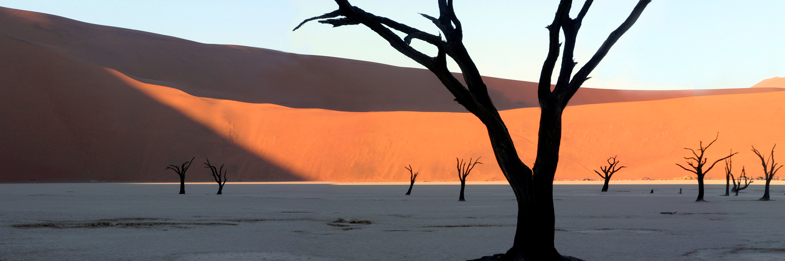 deadvlei & dunes - cullinan namibia tours
